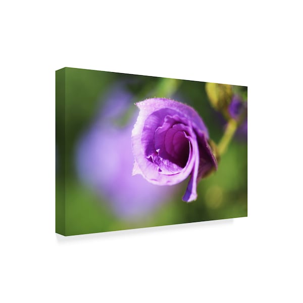 Incredi 'Purple Flower Blurred' Canvas Art,12x19